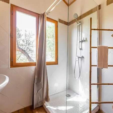 Dans Les Arbres, Domaine De L Ogliastru Ольмето