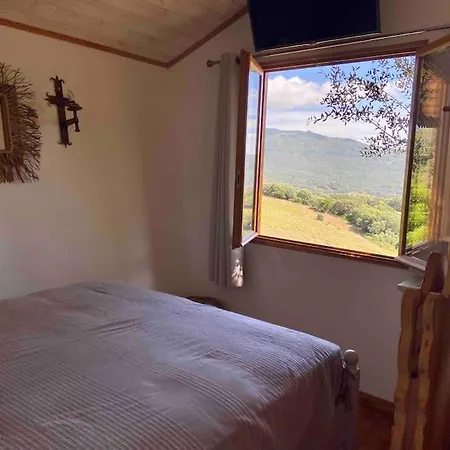 Dans Les Arbres, Domaine De L Ogliastru Ольмето