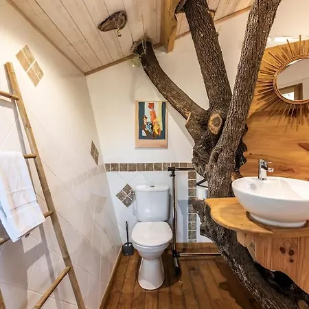 Dans Les Arbres, Domaine De L Ogliastru * Ольмето