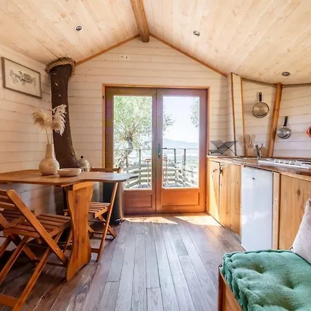 Dans Les Arbres, Domaine De L Ogliastru *