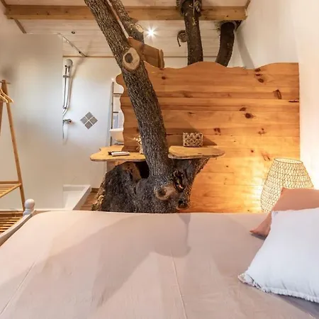 Dans Les Arbres, Domaine De L Ogliastru *