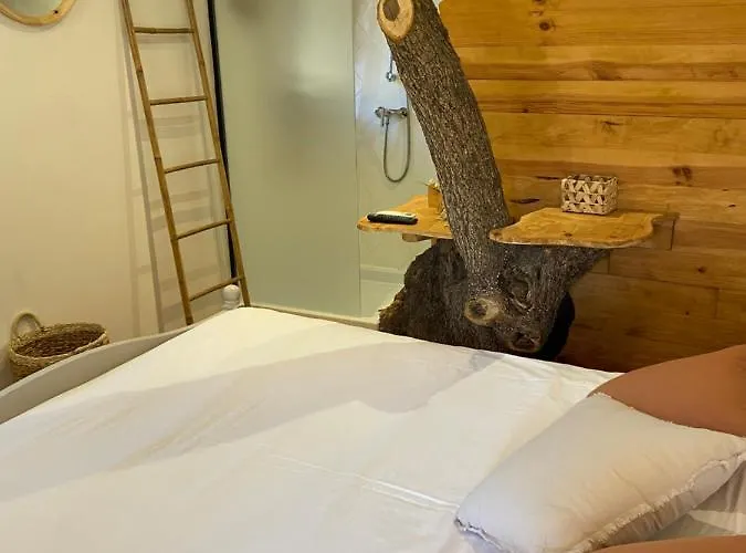 Dans Les Arbres, Domaine De L Ogliastru *