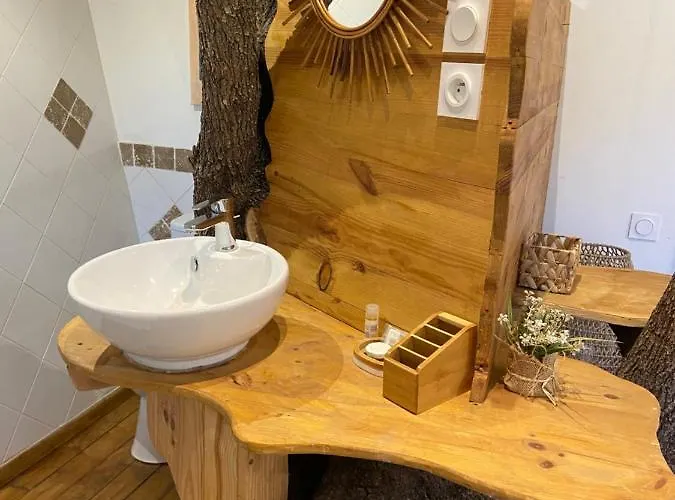 Dans Les Arbres, Domaine De L Ogliastru 奥尔梅托