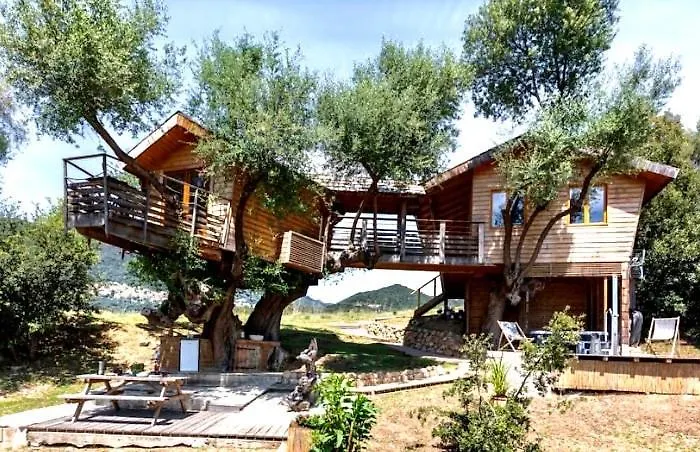 Dans Les Arbres, Domaine De L Ogliastru * 奥尔梅托