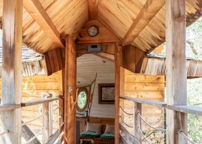 Dans Les Arbres, Domaine De L Ogliastru * 奥尔梅托