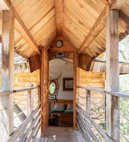 Dans Les Arbres, Domaine De L Ogliastru * 奥尔梅托