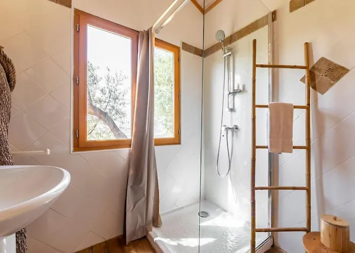 Dans Les Arbres, Domaine De L Ogliastru 奥尔梅托