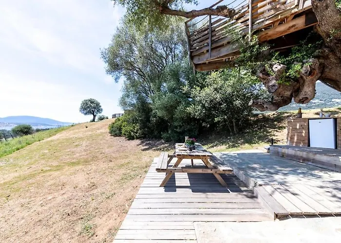 Dans Les Arbres, Domaine De L Ogliastru