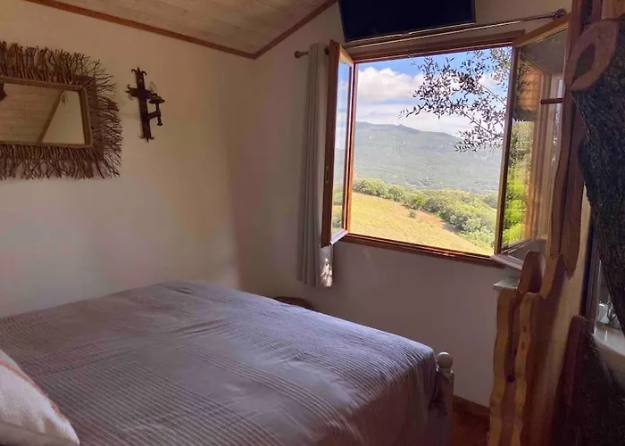 Dans Les Arbres, Domaine De L Ogliastru 奥尔梅托