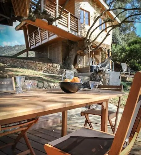 Dans Les Arbres, Domaine De L Ogliastru