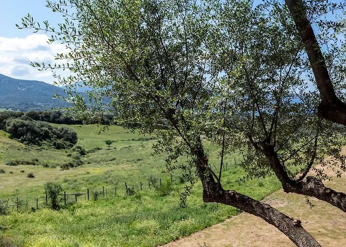 度假居 Dans Les Arbres, Domaine De L Ogliastru