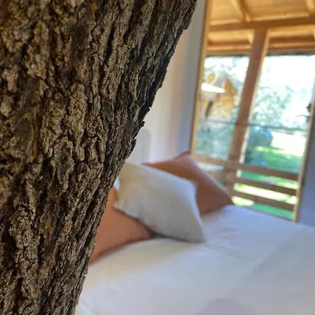 Dans Les Arbres, Domaine De L Ogliastru Сasa de vacaciones *