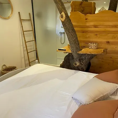 Dans Les Arbres, Domaine De L Ogliastru *