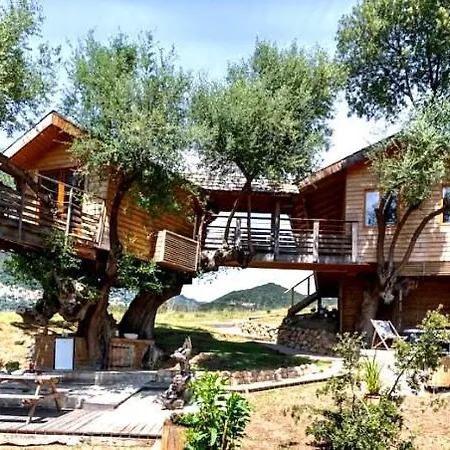 Dans Les Arbres, Domaine De L Ogliastru * Olmeto (Corsica)