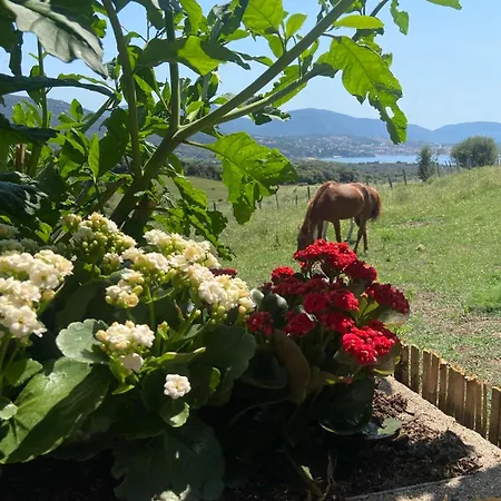 Dans Les Arbres, Domaine De L Ogliastru Nyaraló *