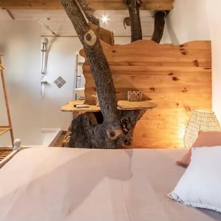 Dans Les Arbres, Domaine De L Ogliastru *