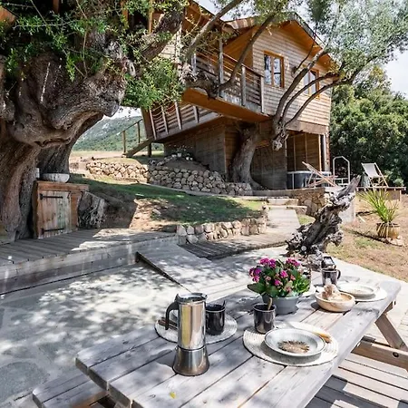 Dans Les Arbres, Domaine De L Ogliastru Ferienhaus Olmeto (Corsica)