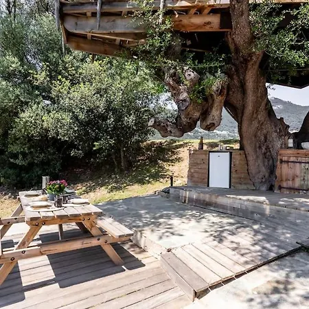 Dans Les Arbres, Domaine De L Ogliastru Ferienhaus