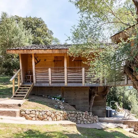 Dans Les Arbres, Domaine De L Ogliastru *