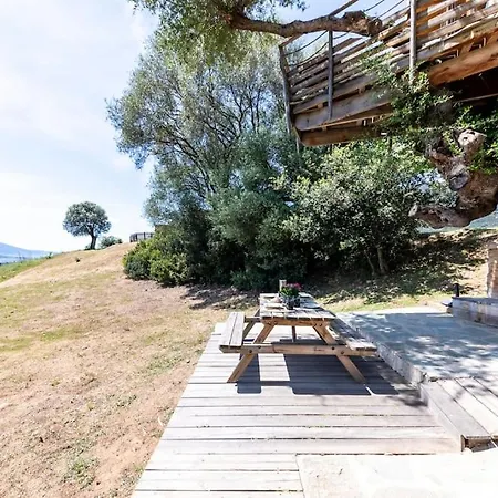 Dans Les Arbres, Domaine De L Ogliastru