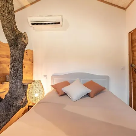 Dans Les Arbres, Domaine De L Ogliastru *