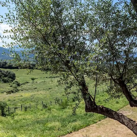 Сasa de vacaciones Dans Les Arbres, Domaine De L Ogliastru