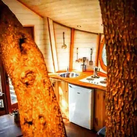 Nyaraló Dans Les Arbres, Domaine De L Ogliastru *