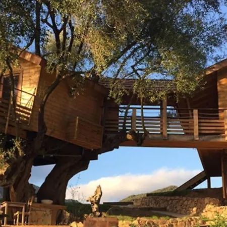 Dans Les Arbres, Domaine De L Ogliastru Feriehus Olmeto (Corsica)
