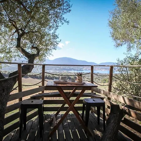 Dans Les Arbres, Domaine De L Ogliastru Olmeto (Corsica)