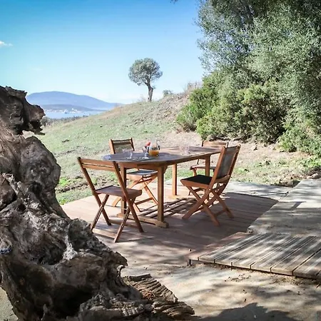 Dans Les Arbres, Domaine De L Ogliastru * Olmeto (Corsica)