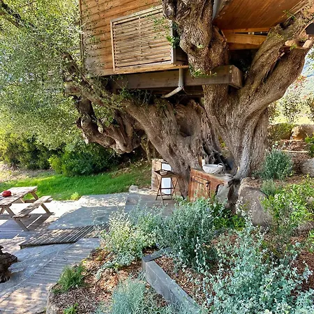 Dans Les Arbres, Domaine De L Ogliastru Nyaraló