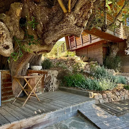 Ferienhaus Dans Les Arbres, Domaine De L Ogliastru *