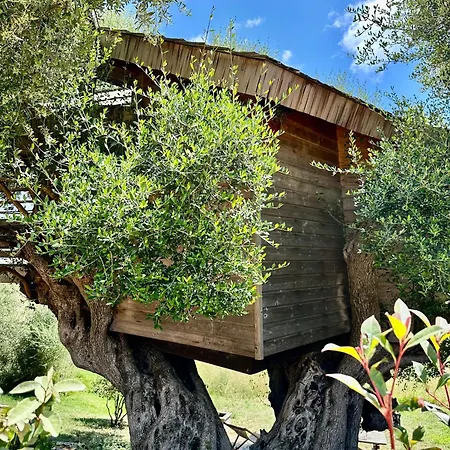 Nyaraló Dans Les Arbres, Domaine De L Ogliastru *