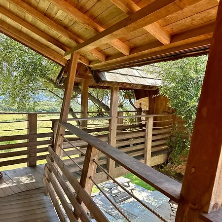 Dans Les Arbres, Domaine De L Ogliastru