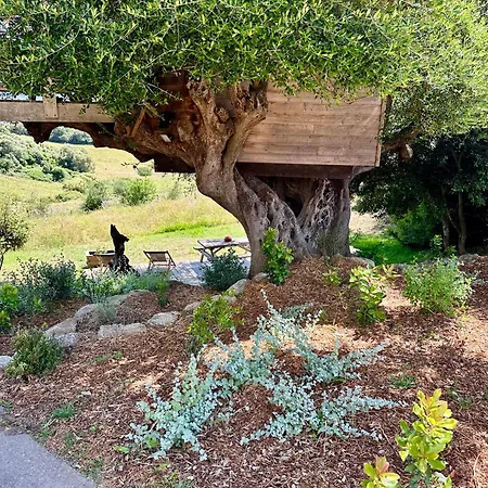 Dans Les Arbres, Domaine De L Ogliastru Nyaraló *