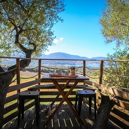 Dans Les Arbres, Domaine De L Ogliastru