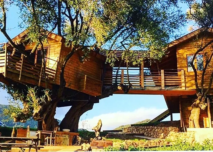 Dans Les Arbres, Domaine De L Ogliastru Holiday home Olmeto (Corsica)