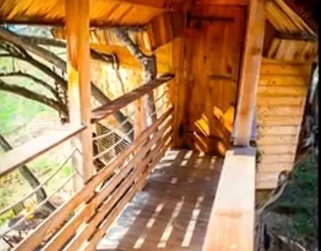 Dans Les Arbres, Domaine De L Ogliastru Holiday home Olmeto (Corsica)