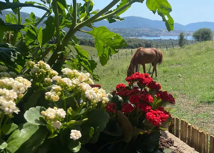 Dans Les Arbres, Domaine De L Ogliastru Holiday home *