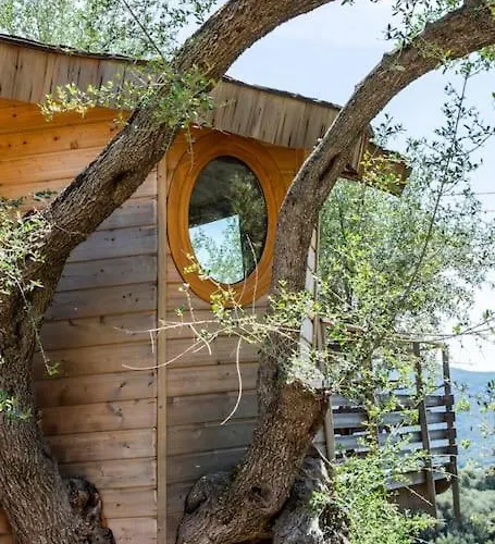 Holiday home Dans Les Arbres, Domaine De L Ogliastru Olmeto (Corsica)