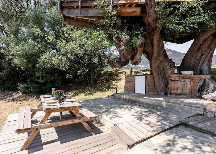 Dans Les Arbres, Domaine De L Ogliastru Holiday home