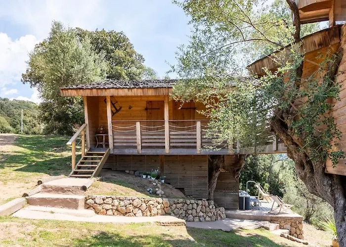 Dans Les Arbres, Domaine De L Ogliastru *