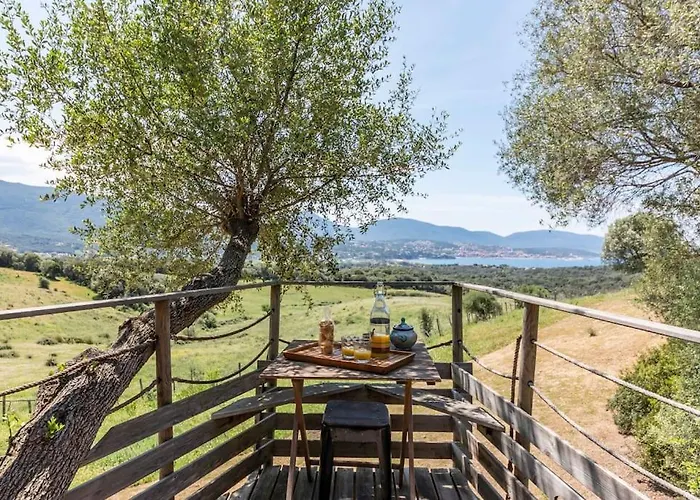 Dans Les Arbres, Domaine De L Ogliastru Holiday home