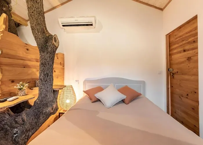 Dans Les Arbres, Domaine De L Ogliastru *