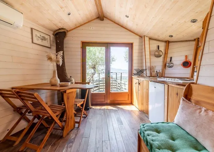 Dans Les Arbres, Domaine De L Ogliastru *