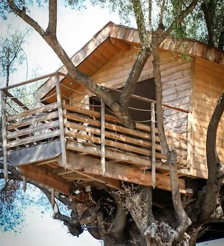 Dans Les Arbres, Domaine De L Ogliastru Olmeto (Corsica)