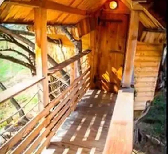 Dans Les Arbres, Domaine De L Ogliastru Holiday home