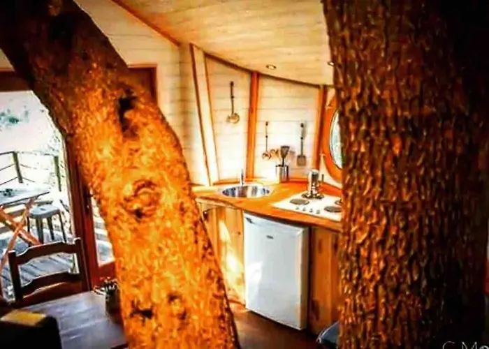 Holiday home Dans Les Arbres, Domaine De L Ogliastru *