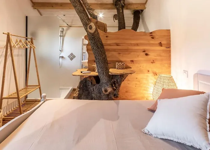 Dans Les Arbres, Domaine De L Ogliastru *