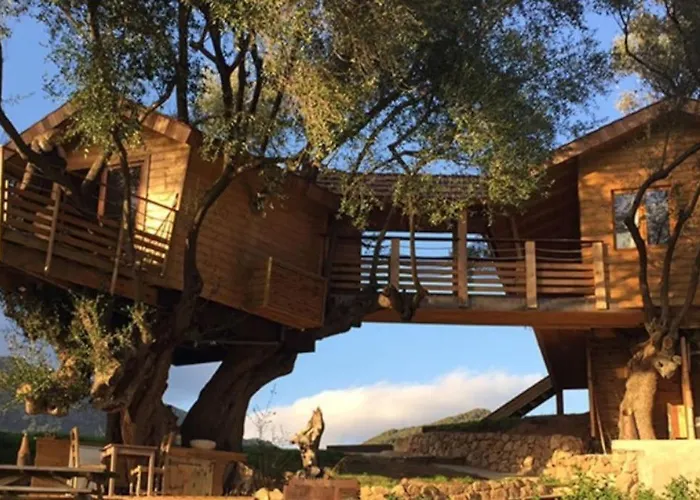 Dans Les Arbres, Domaine De L Ogliastru Holiday home Olmeto (Corsica)